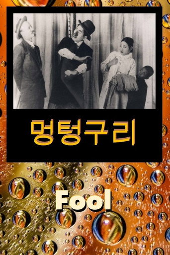 Fool movie poster