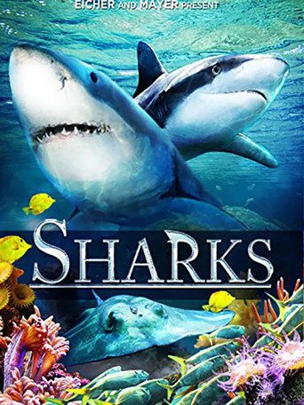 Sharks (in 3D) movie poster