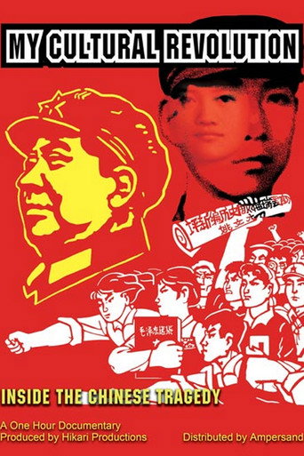 Ma révolution culturelle movie poster