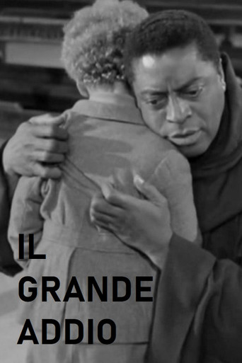 Big Farewell movie poster