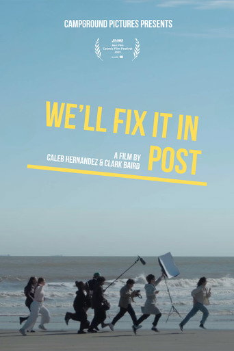 We'll Fix it in Post movie poster