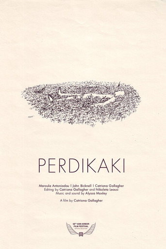Perdikaki movie poster