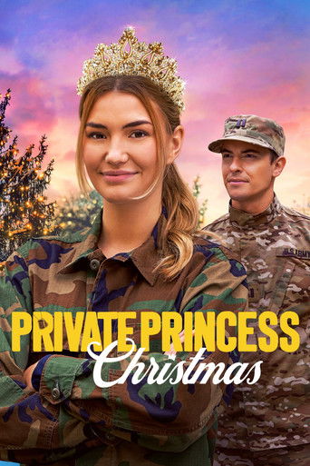Private Princess Christmas movie poster