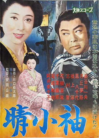 晴小袖 movie poster
