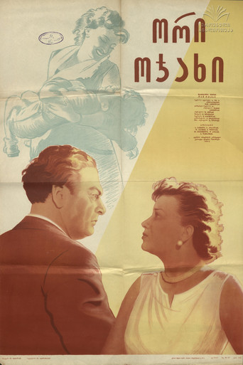 Two Families movie poster