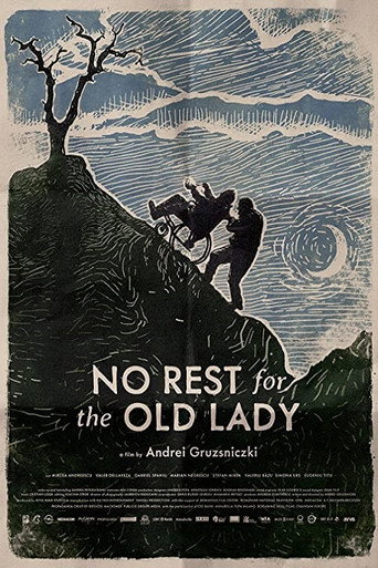No Rest for the Old Lady movie poster