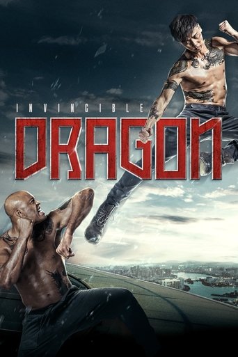 The Invincible Dragon movie poster