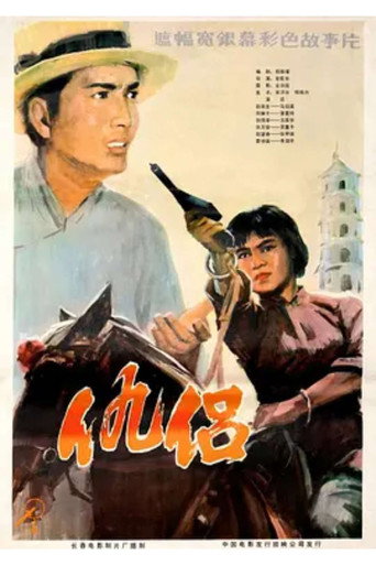 仇侣 movie poster