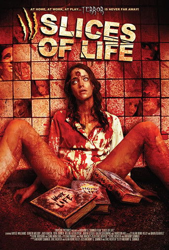 Slices of Life movie poster