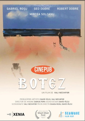 Botez movie poster