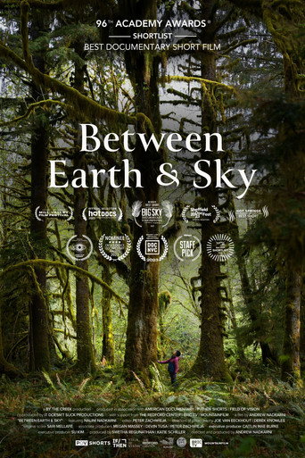 Between Earth & Sky movie poster