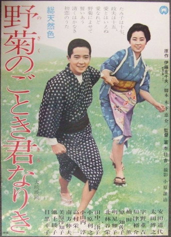 She Was Like a Wild Chrysanthemum movie poster
