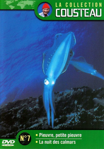 The Cousteau Collection N°7-1 | Octopus, Little Octopus movie poster