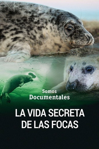 The Secret Life of the Seal movie poster