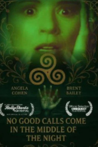 No Good Calls Come in the Middle of the Night movie poster