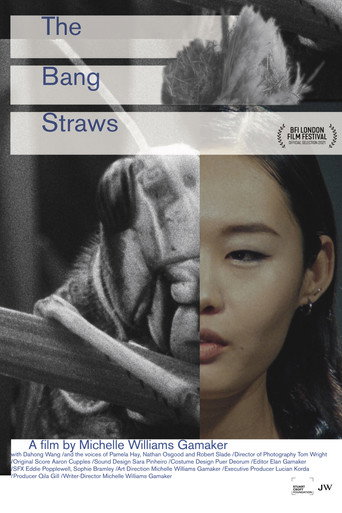 The Bang Straws movie poster