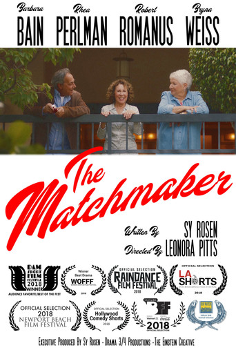 The Matchmaker movie poster