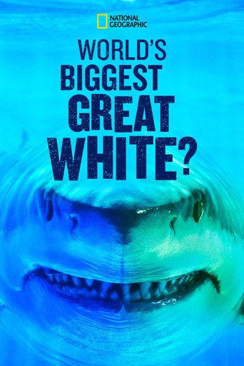World's Biggest Great White? movie poster