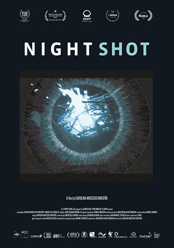 Night Shot movie poster