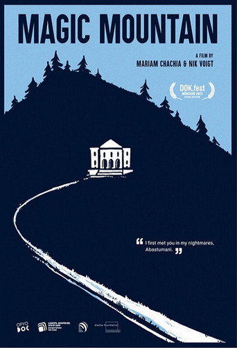 Magic Mountain movie poster