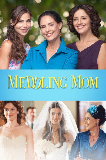 Meddling Mom movie poster