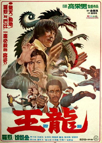 Deadly Kick movie poster