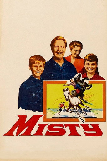 Misty movie poster
