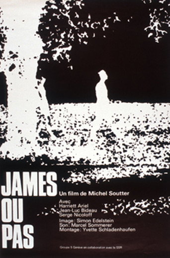 James or Not movie poster