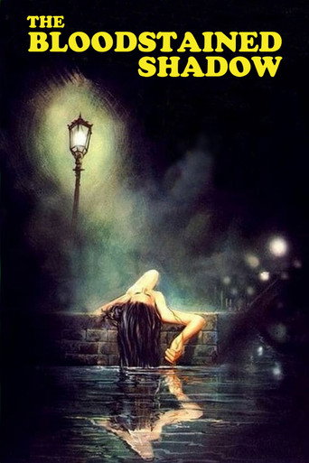 The Bloodstained Shadow movie poster