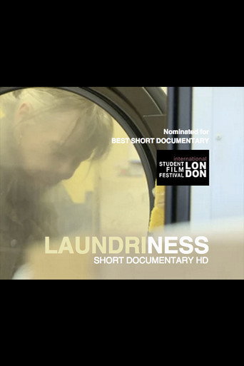 Laundriness movie poster