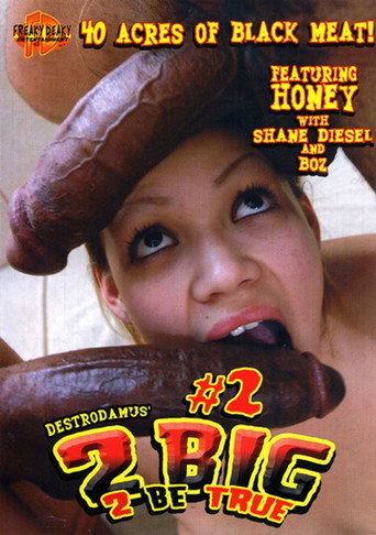 2 Big 2 Be True 2 movie poster
