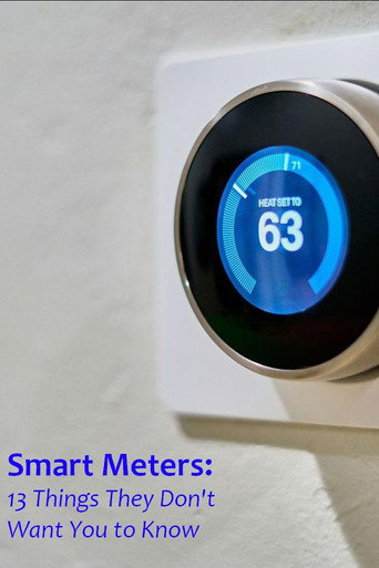 Smart Meters: 13 Things They Don't Want You to Know movie poster