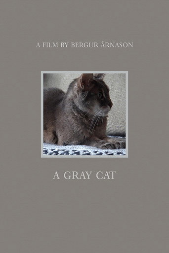 A Gray Cat movie poster
