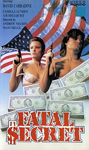 Fatal Secret movie poster