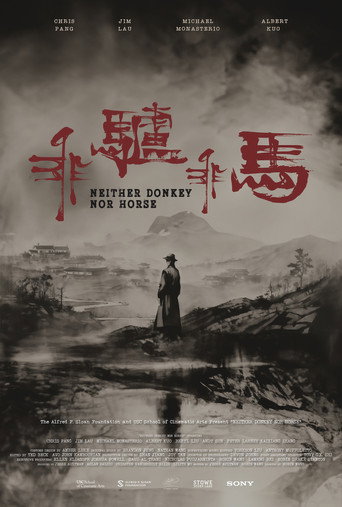 Neither Donkey Nor Horse movie poster