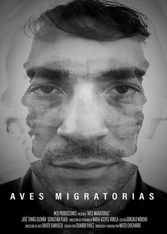 Migratory Birds movie poster
