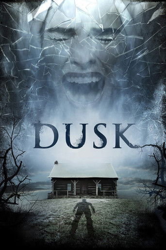Dusk movie poster