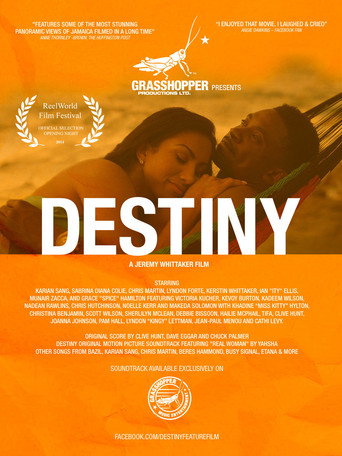 Destiny movie poster