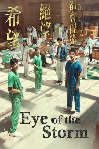 Eye of the Storm movie poster