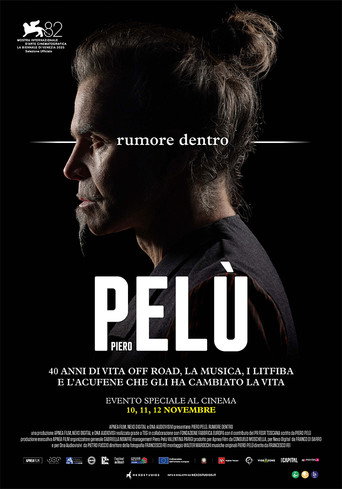 Piero Pelù - Rumore dentro movie poster