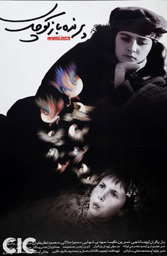 The Little Bird Boy movie poster