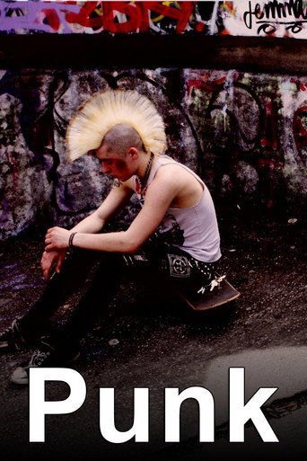 Punk movie poster