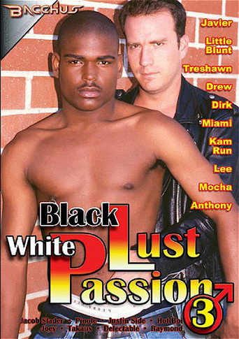 Black Lust White Passion 3 movie poster