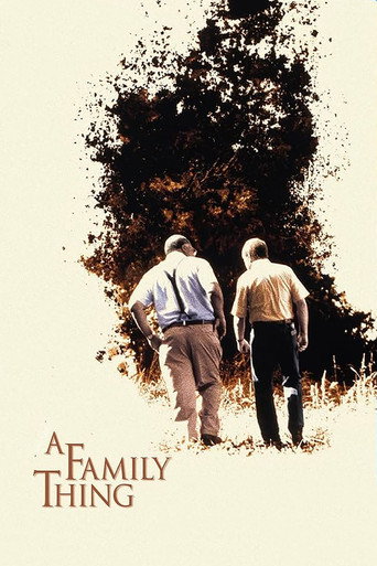 A Family Thing movie poster