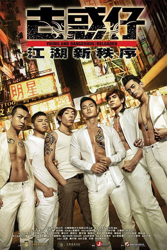Young and Dangerous: Reloaded movie poster