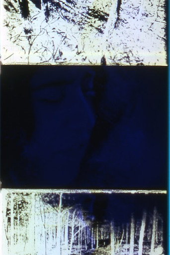 Later That Same Night movie poster