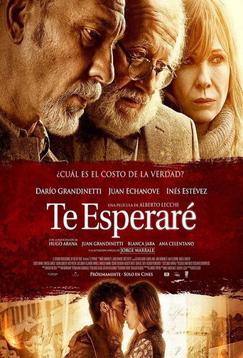 Te esperaré movie poster