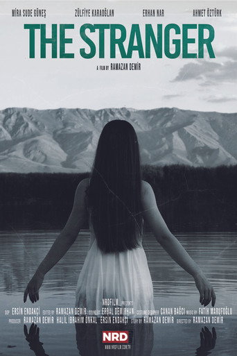 The Stranger movie poster