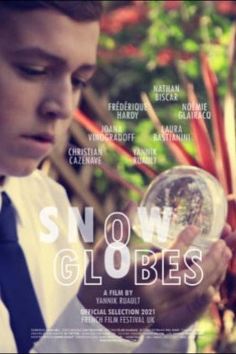 Snowglobes movie poster
