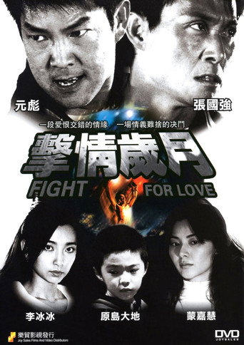 Fight for Love movie poster
